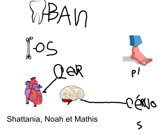 Docteur2